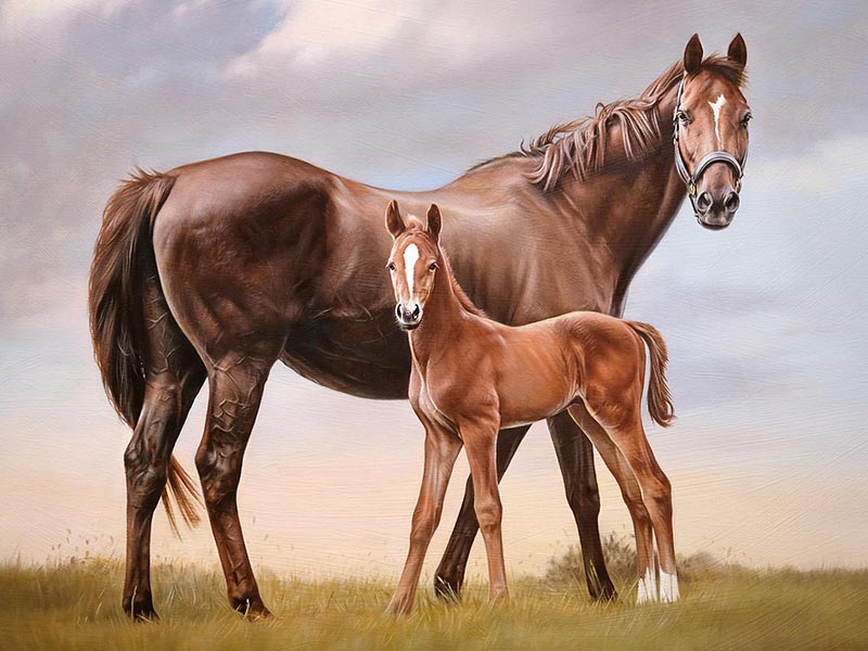 Horse and Foal Oil Painting