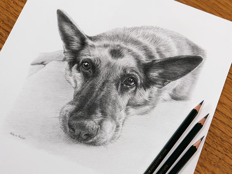 Pencil Drawing of Kegan