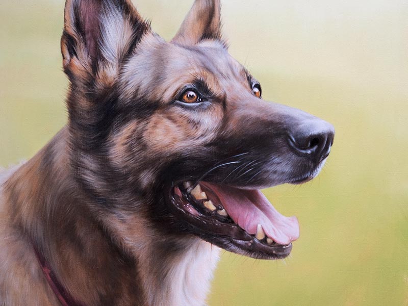 German Shepherd Oil Portrait of Lucie