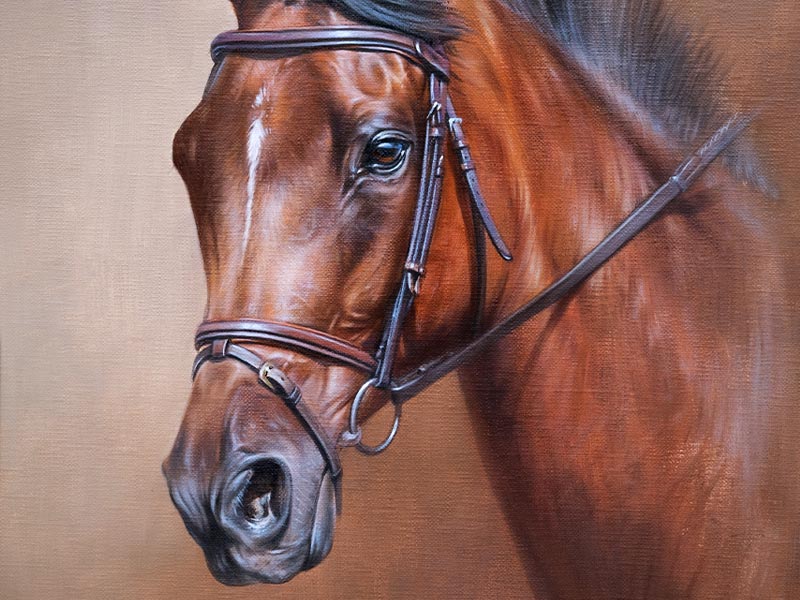 Oil Portrait of Event Horse Pats Jester