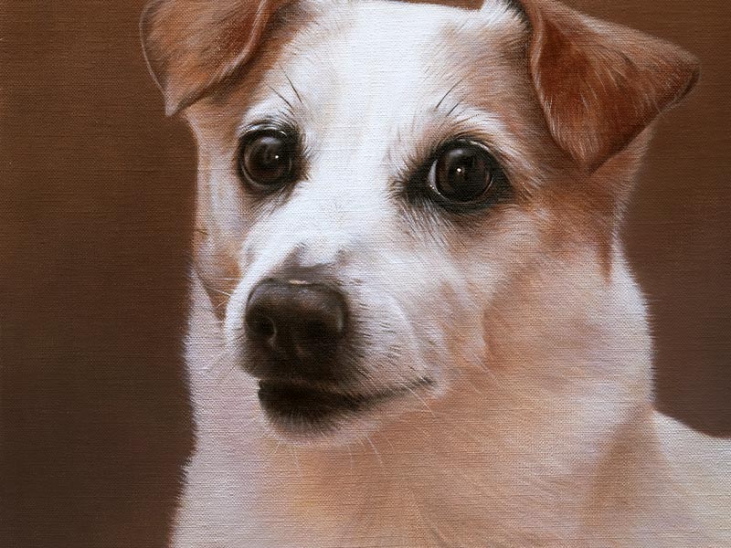 Ella’s Portrait – Jack Russell in Oils