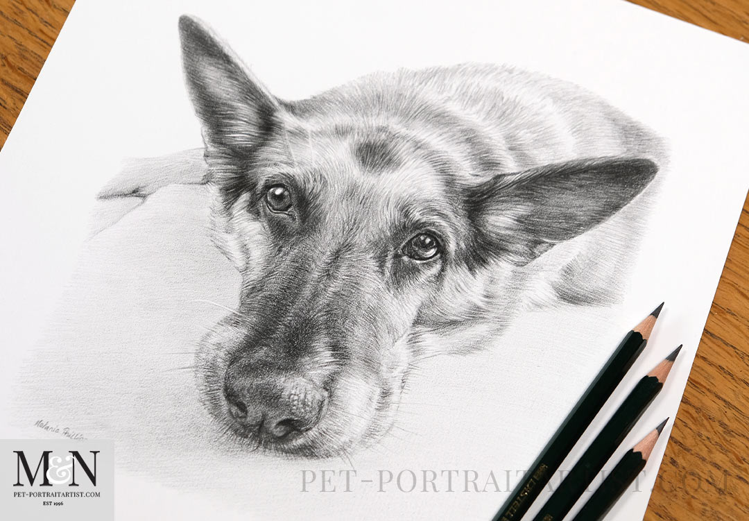 What is a Pet Portrait Commission?