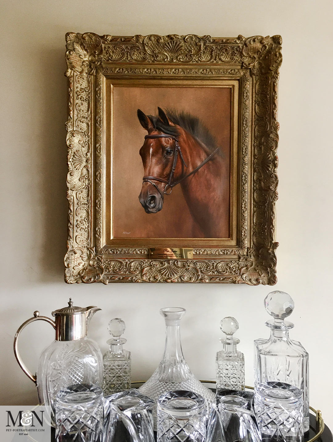 Premium Options for pet portraits