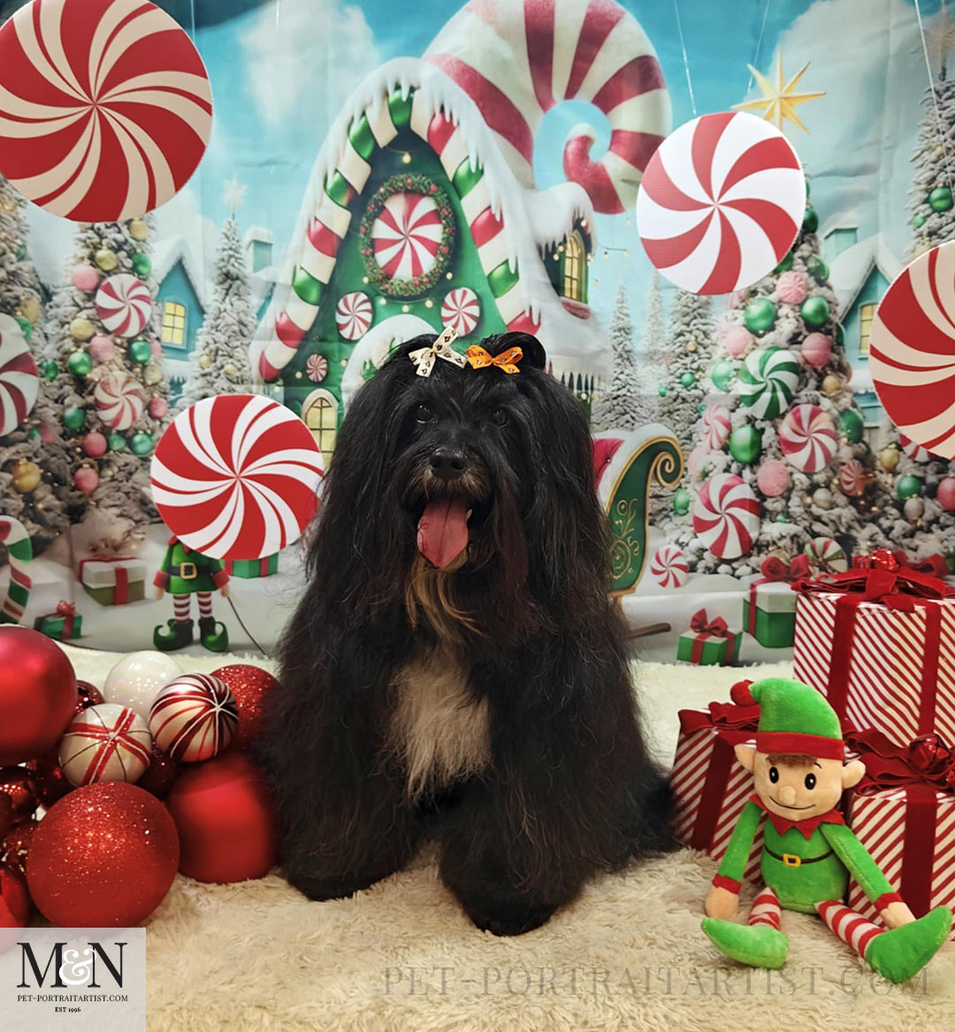 Lily groomed in November 2025