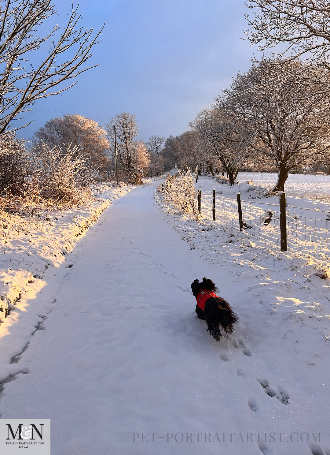 Snow fall in Early 2026