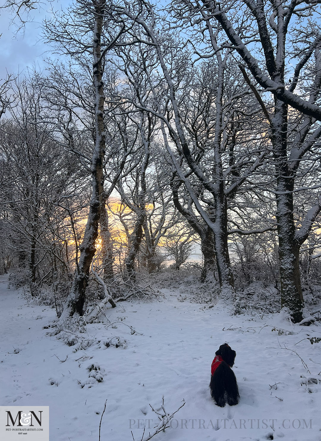 Beautiful Wales in the snow in 2026