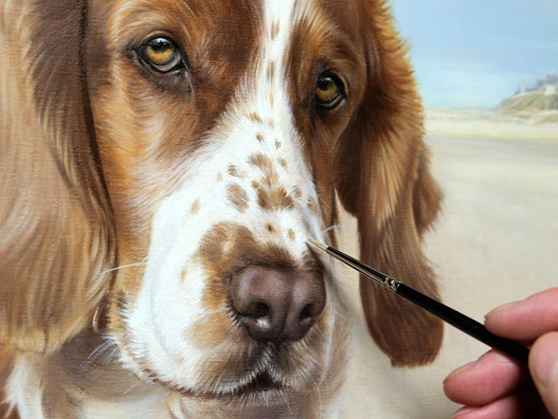 How to Commission a Pet Portrait – Everything You Need to Know