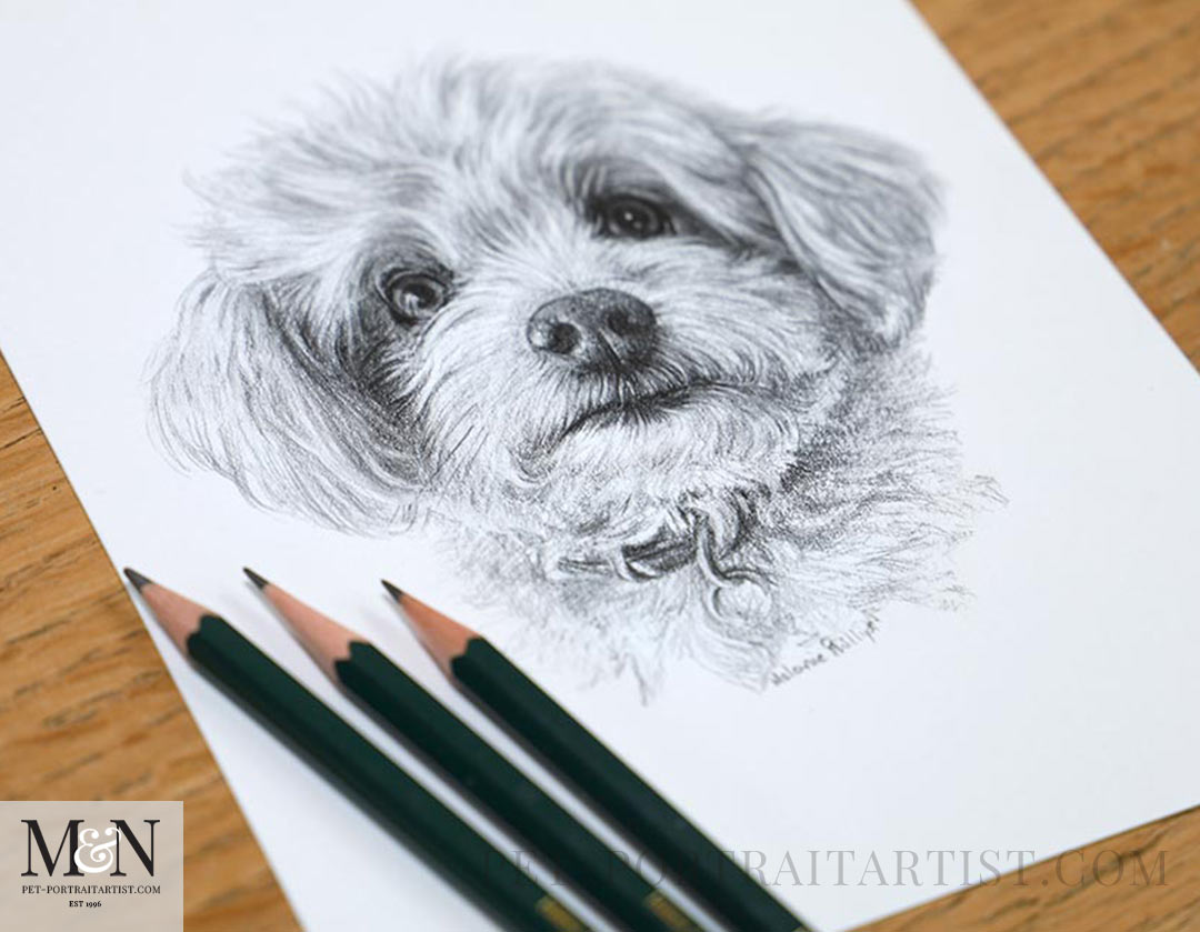 How to Commission a Pet Portrait – Everything You Need to Know