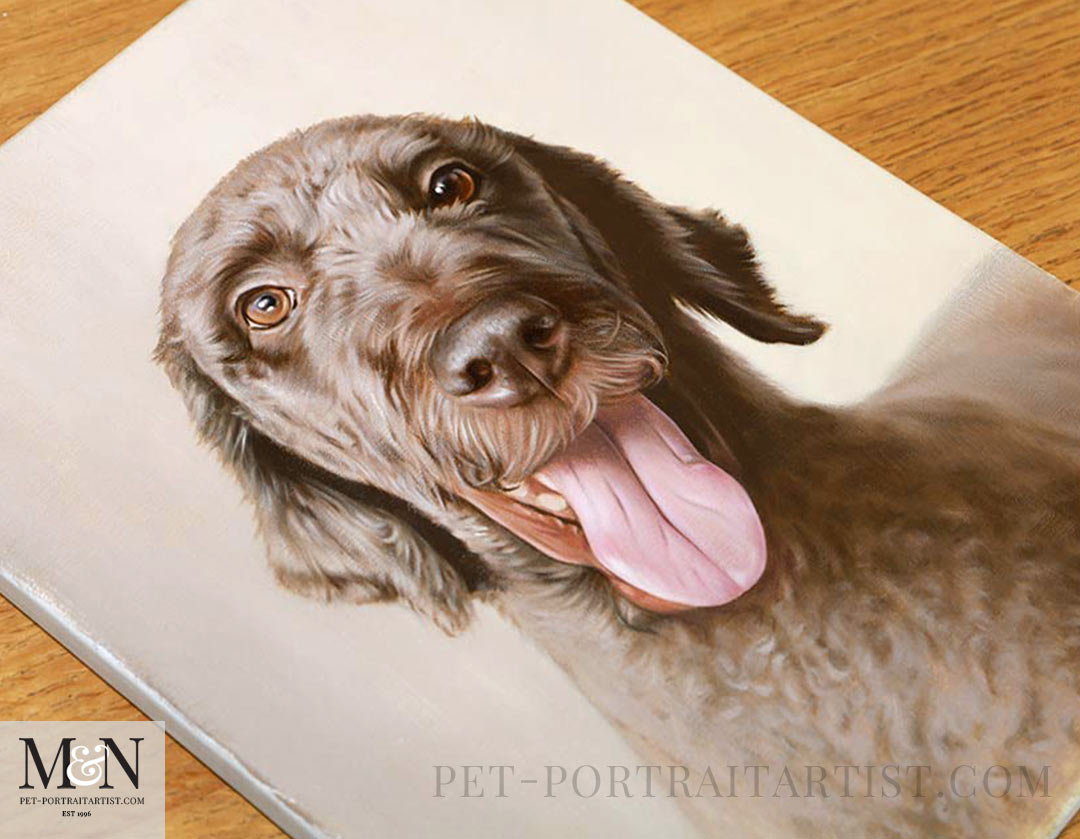 How to Commission a Pet Portrait – Everything You Need to Know