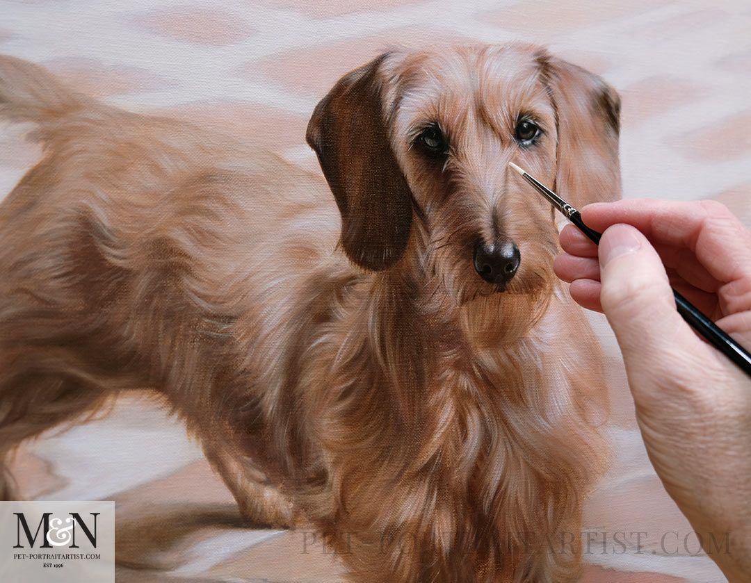 How to Commission a Pet Portrait – Everything You Need to Know