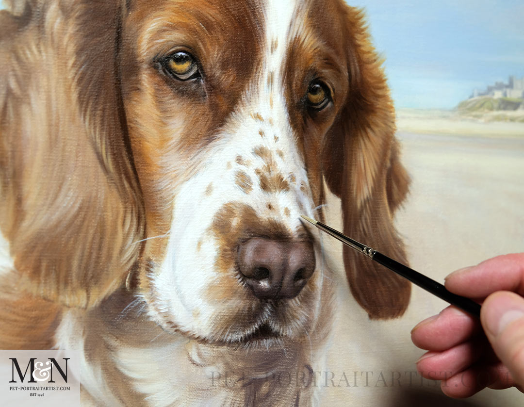Spaniel Pet Portrait in Oils by Nicholas Beall