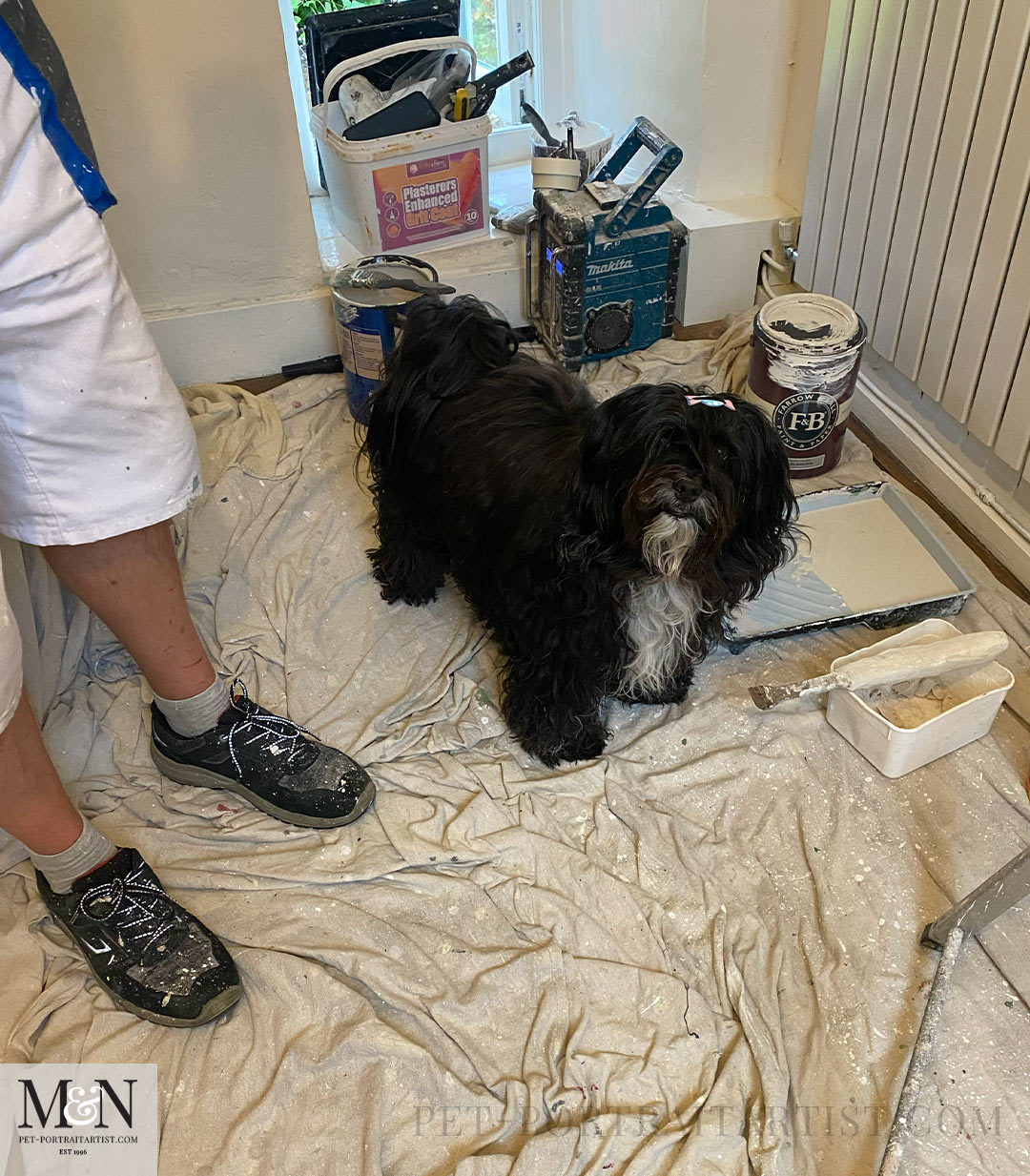 Painting and Decorating Lily the Tibetan Terrier