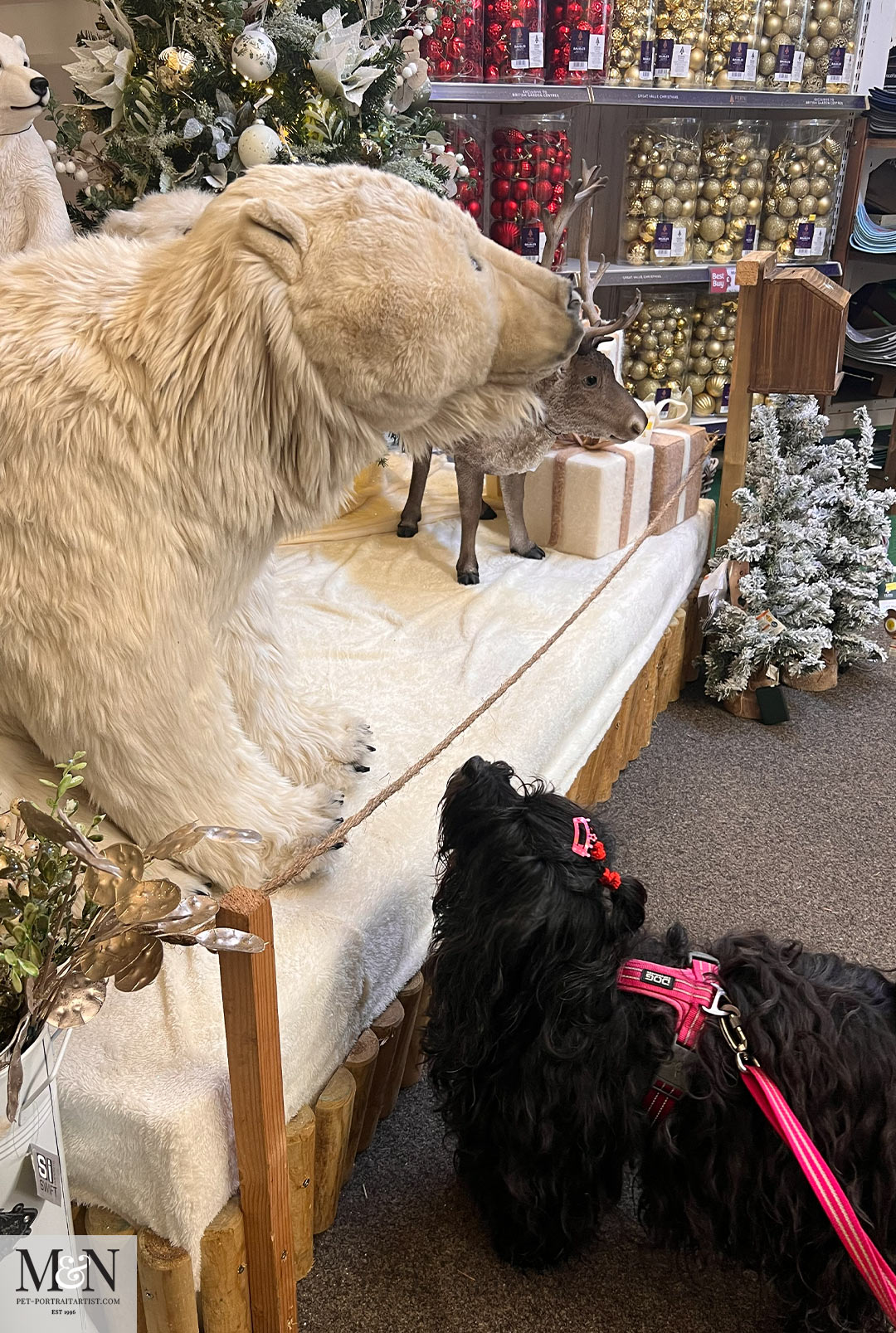 Polar Bear at Christmas  Lily the Tibetan Terrier