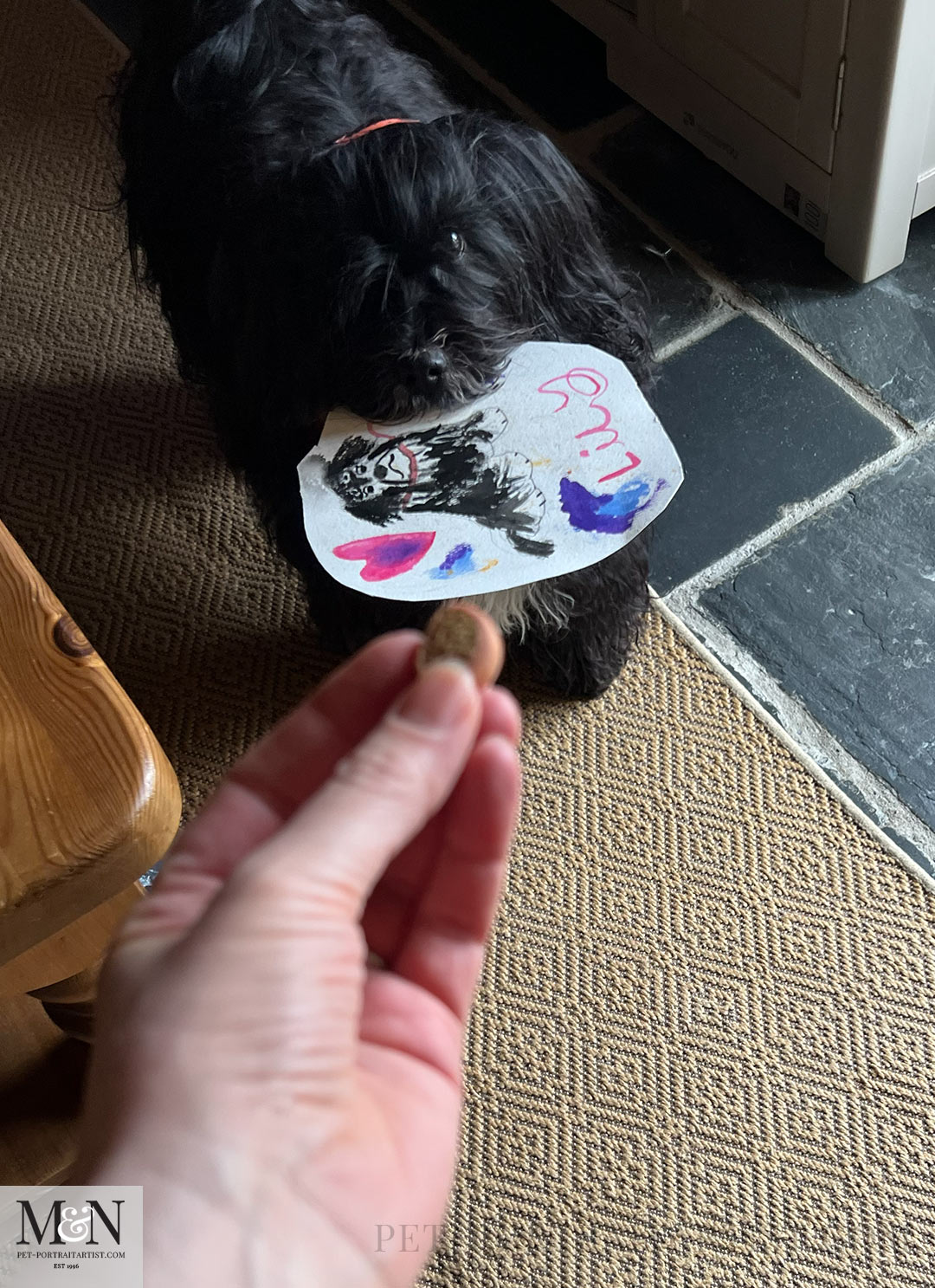 Birthday card  Lily the Tibetan Terrier