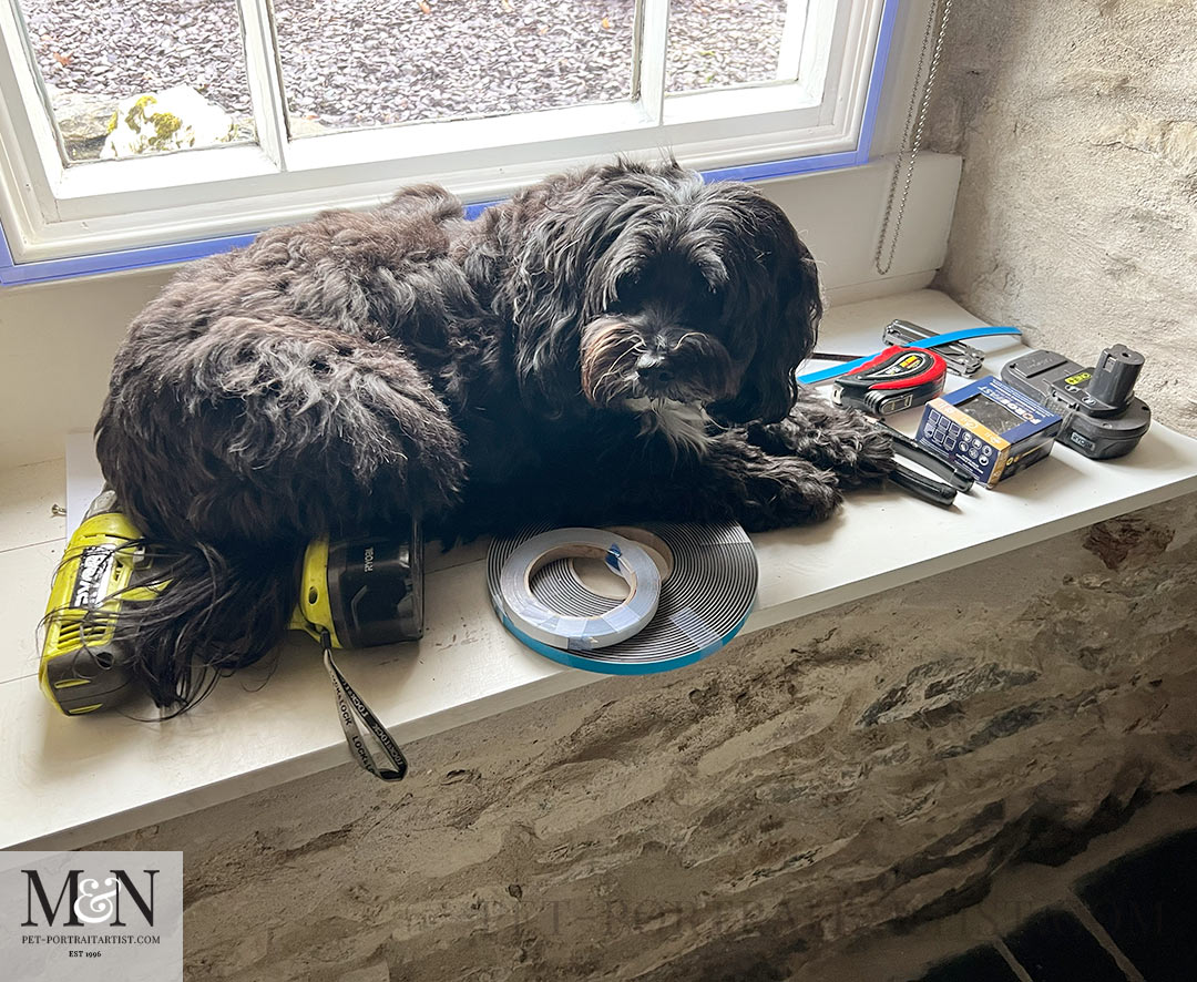 In between the tools  Lily the Tibetan Terrier