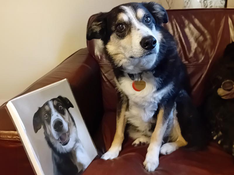 Will Your Pet’s AI Portrait Still Matter in 30 Years?