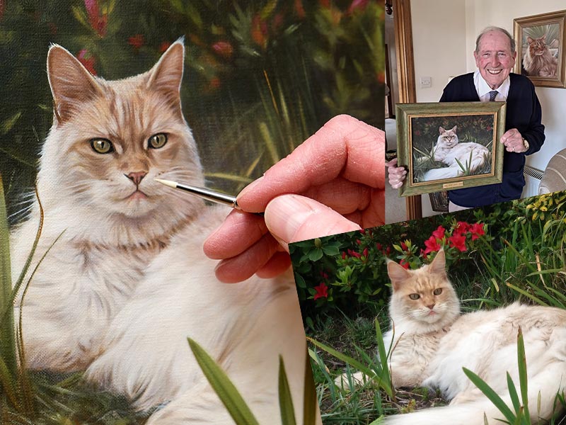 How to Take the Perfect Pet Photo on Your Phone