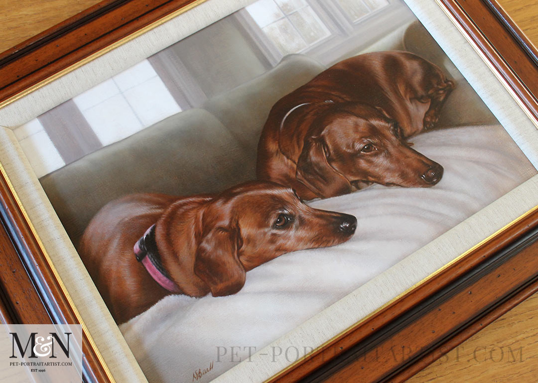 Keep snapping away and get photos of your pets doing their favourite things, like this portrait of Maggie and Max