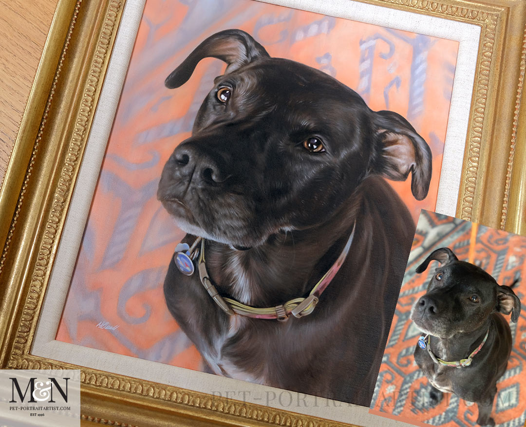 How to Take the Perfect Pet Photo on Your Phone