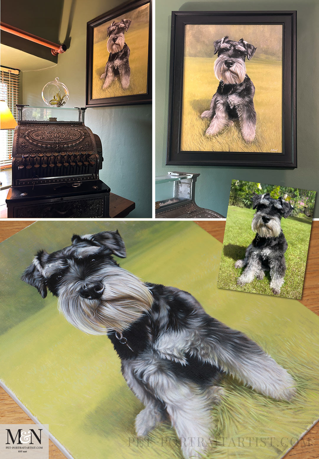 How to Take the Perfect Pet Photo on Your Phone