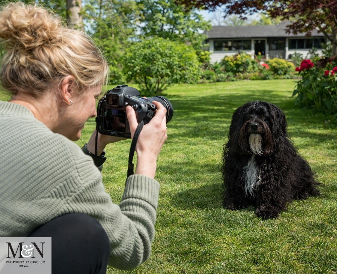 How to Take the Perfect Pet Photo on Your Phone