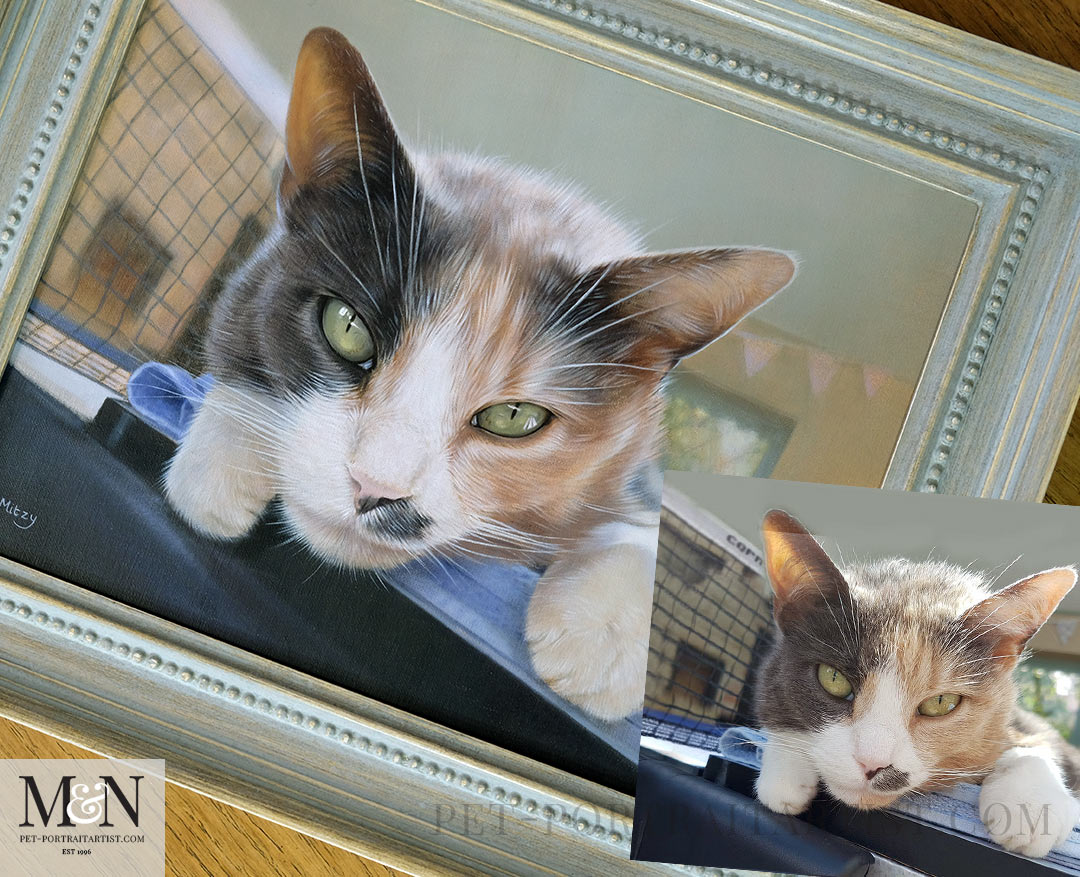 Think outside the box when taking photos of your pet. your portrait doesn't have to be a static head study. 