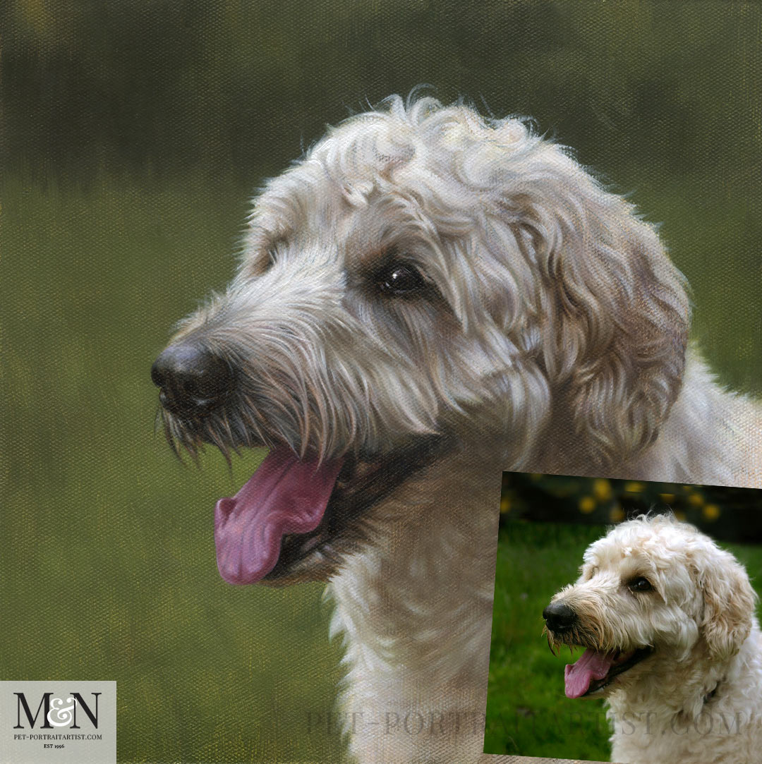 Choosing the right setting for taking photos of light or dark dogs. 