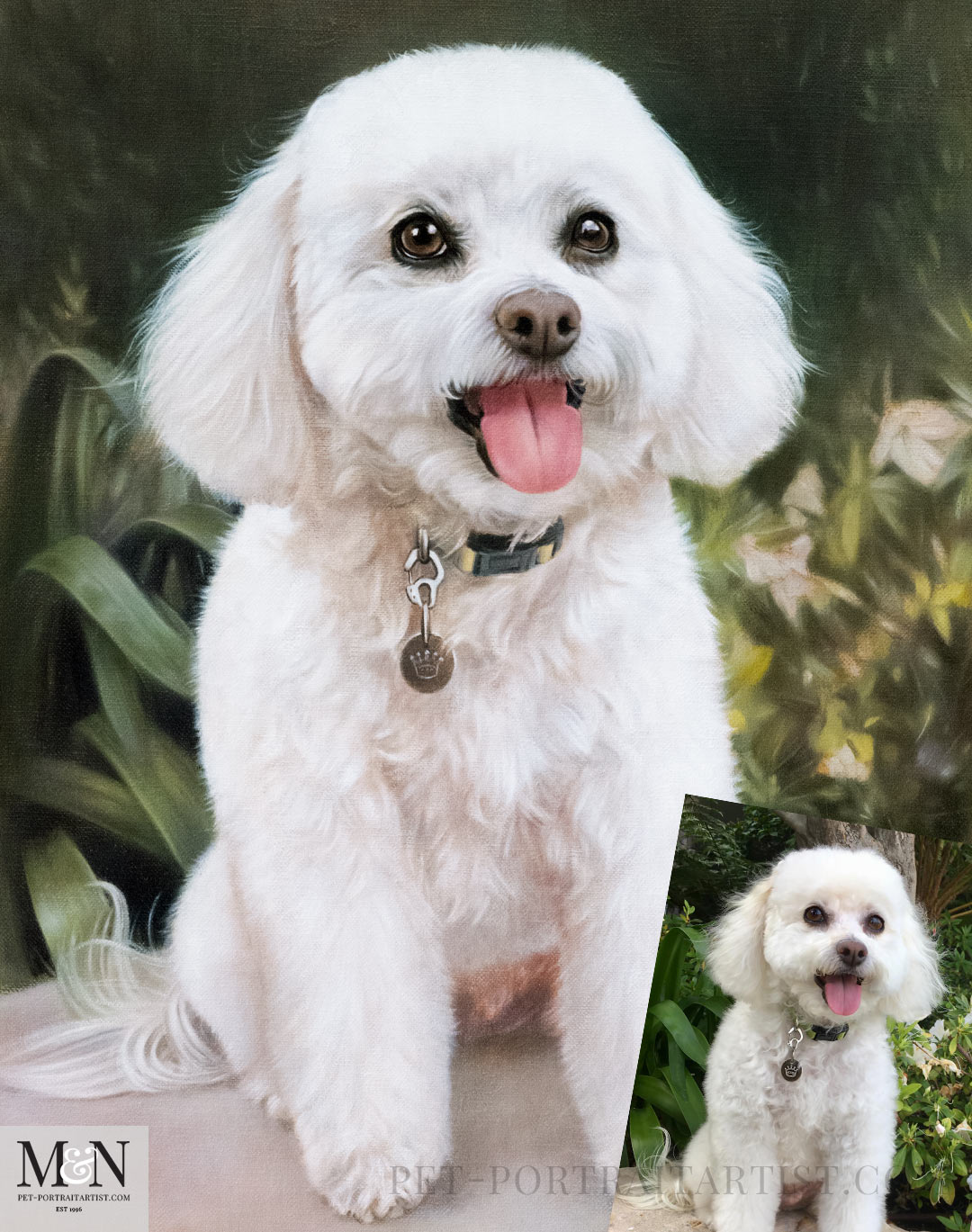 Get down on your dogs eye level like this photo and portrait of Lulu