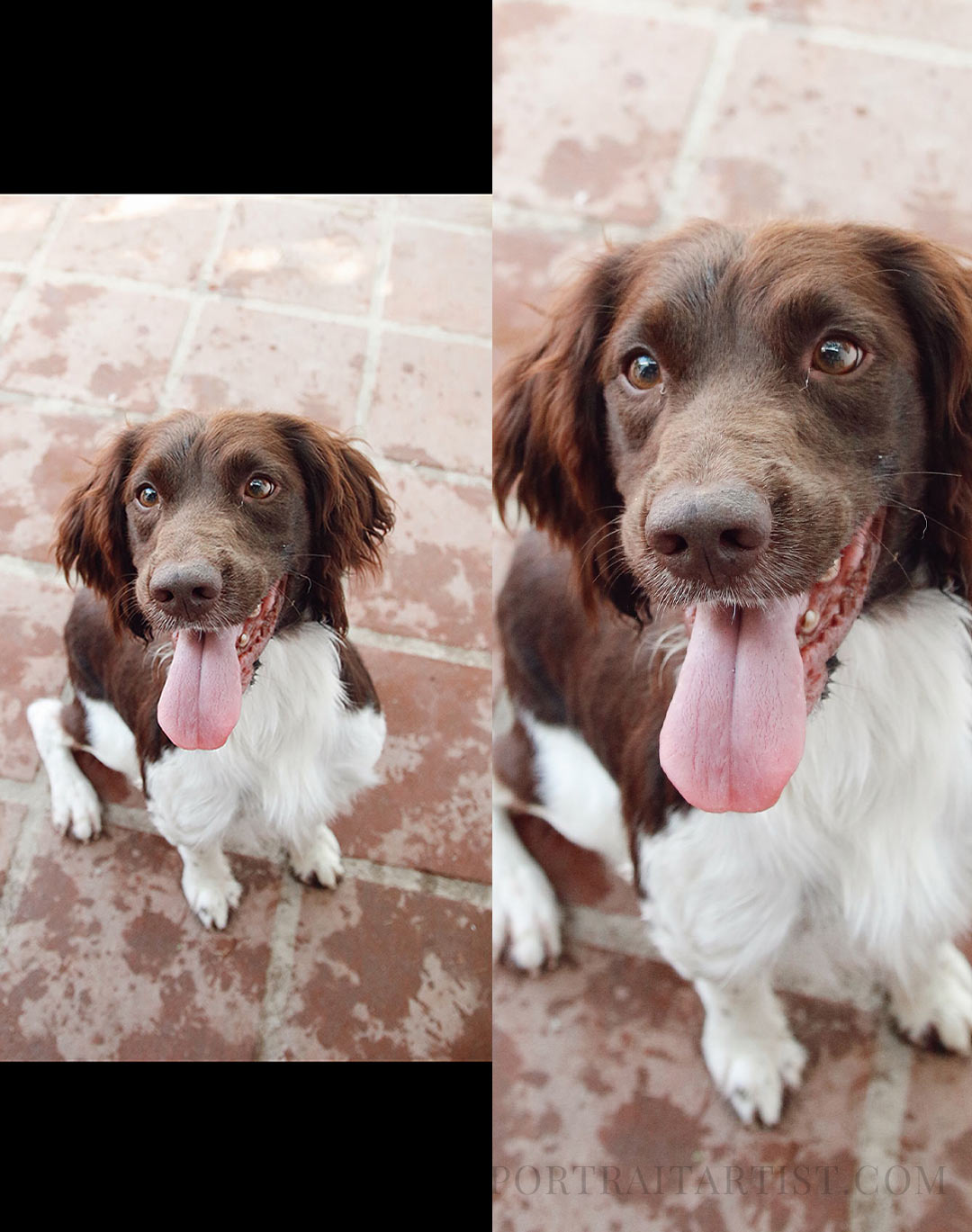 Screenshots vs the original photo. 