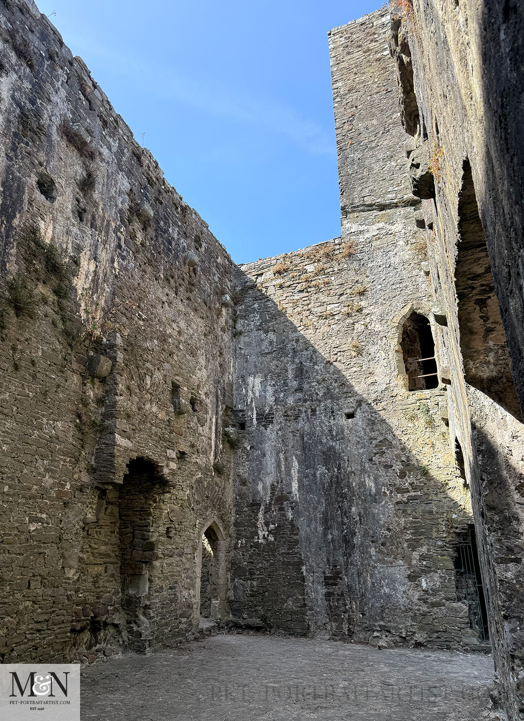 The high walls on our Kidwelly Castle Visit