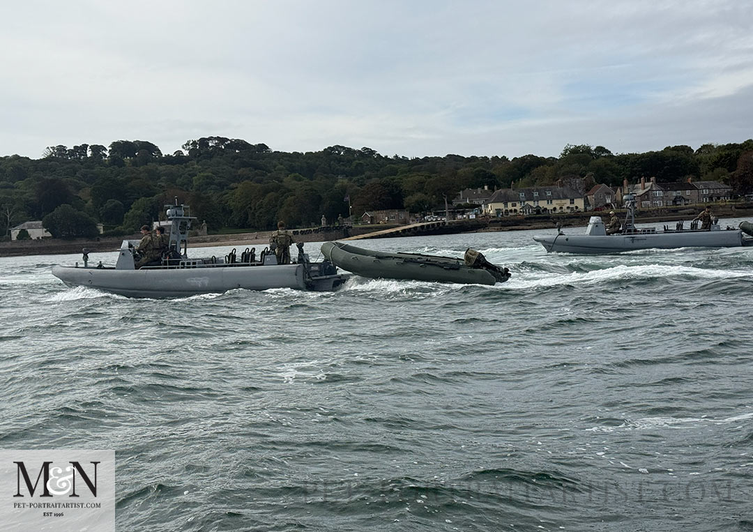 On the Cremell Ferry across to Mount Edgecombe looking at navy boats